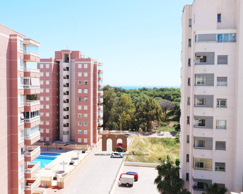 Sale - Apartment / flat - Guardamar del Segura - SUP 7