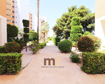 Sale - Apartment / flat - Guardamar del Segura - SUP 7