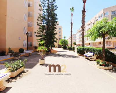 Segunda mano - Apartamento / piso - Guardamar del Segura - Mercadona
