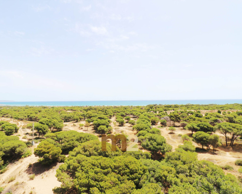 Alquiler a largo plazo - Apartamento / piso - Guardamar del Segura - SUP 7