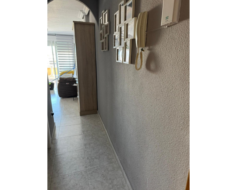 Sale - Apartment / flat - Torrevieja - Centro