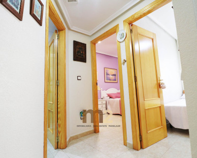 Segunda mano - Apartamento / piso - Guardamar del Segura - Puerto