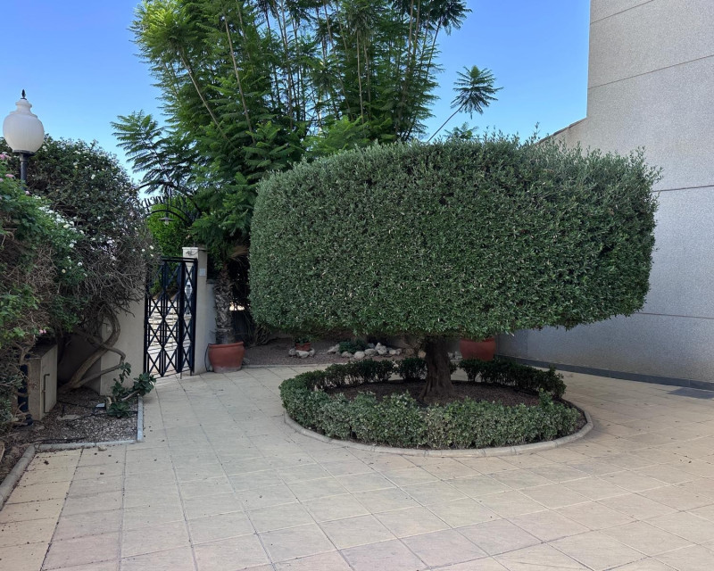 Sale - Apartment / flat - Guardamar del Segura - SUP 7