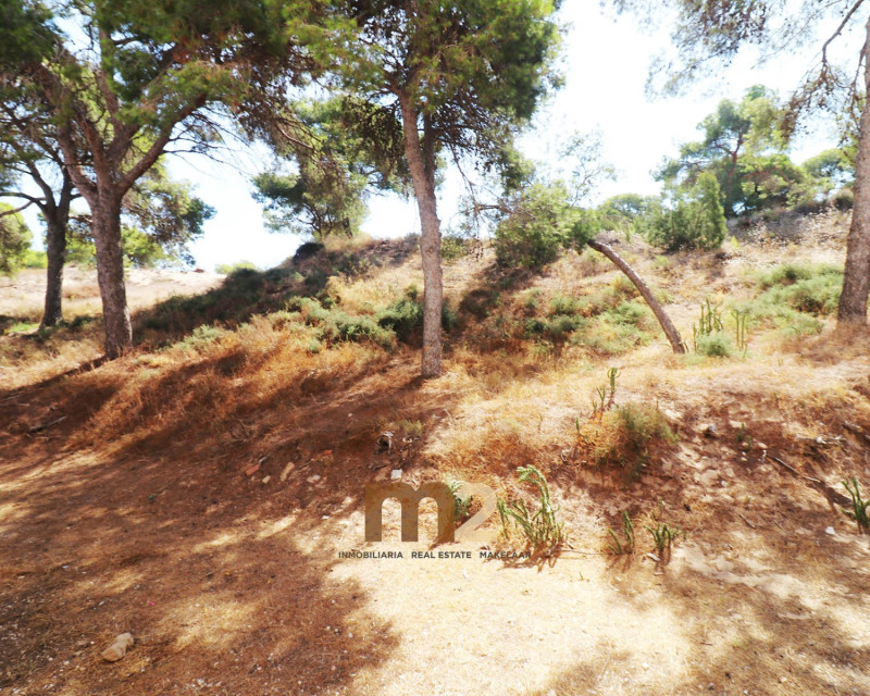Herverkoop - Appartement / flat - Guardamar del Segura - Centrum