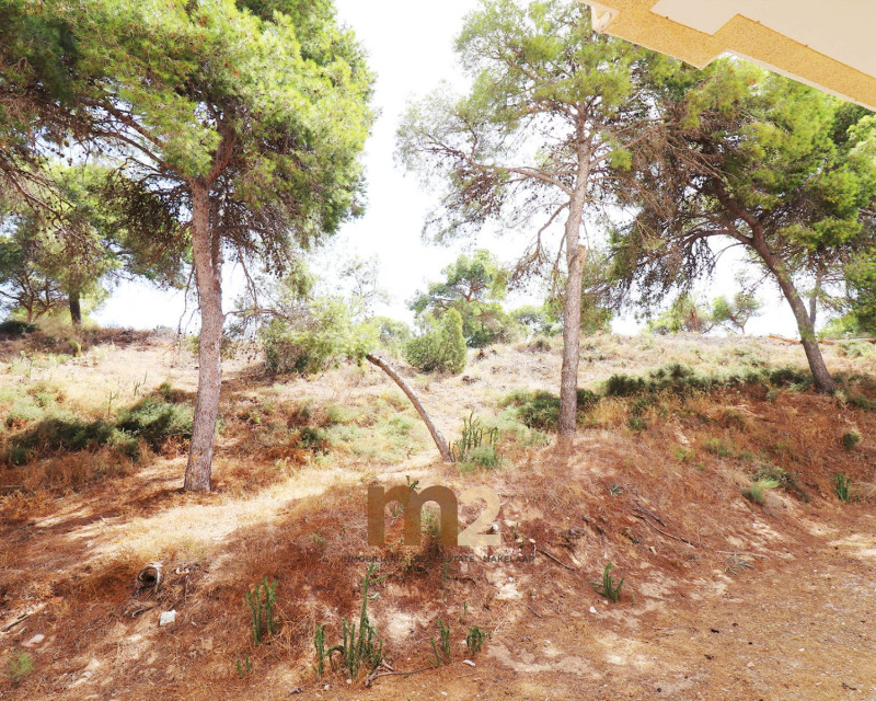 Sale - Apartment / flat - Guardamar del Segura - Centre