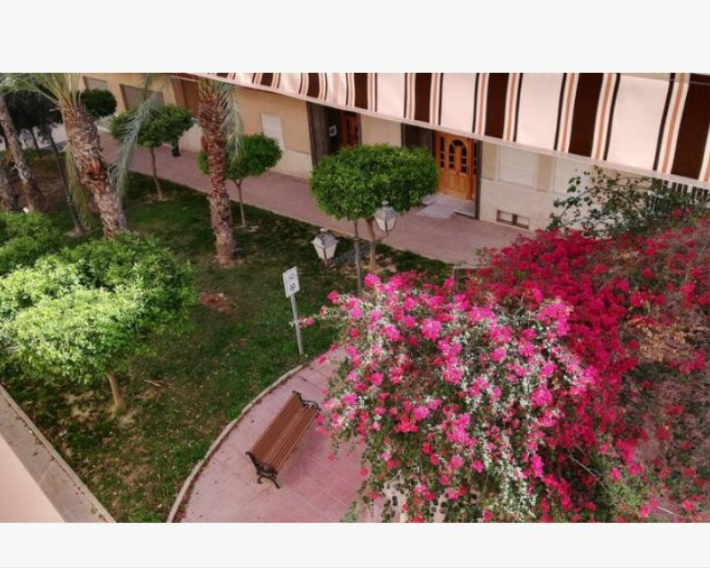 Alquiler a largo plazo - Apartamento / piso - Guardamar del Segura - Mercadona