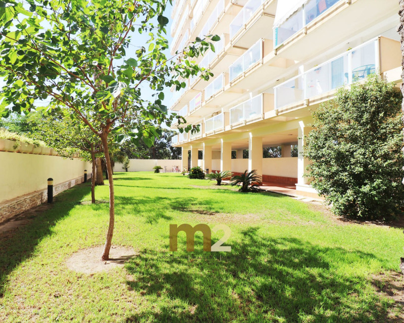 Sale - Penthouse - Guardamar del Segura - Port