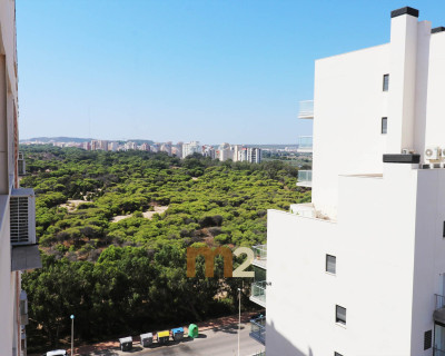 Sale - Penthouse - Guardamar del Segura - Port