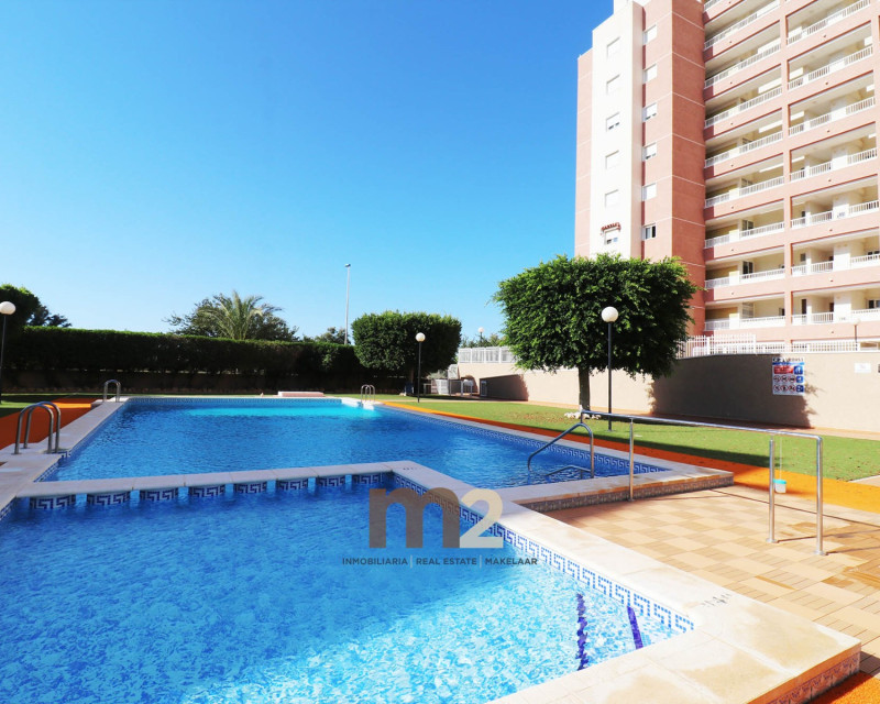 Sale - Apartment / flat - Guardamar del Segura - SUP 7