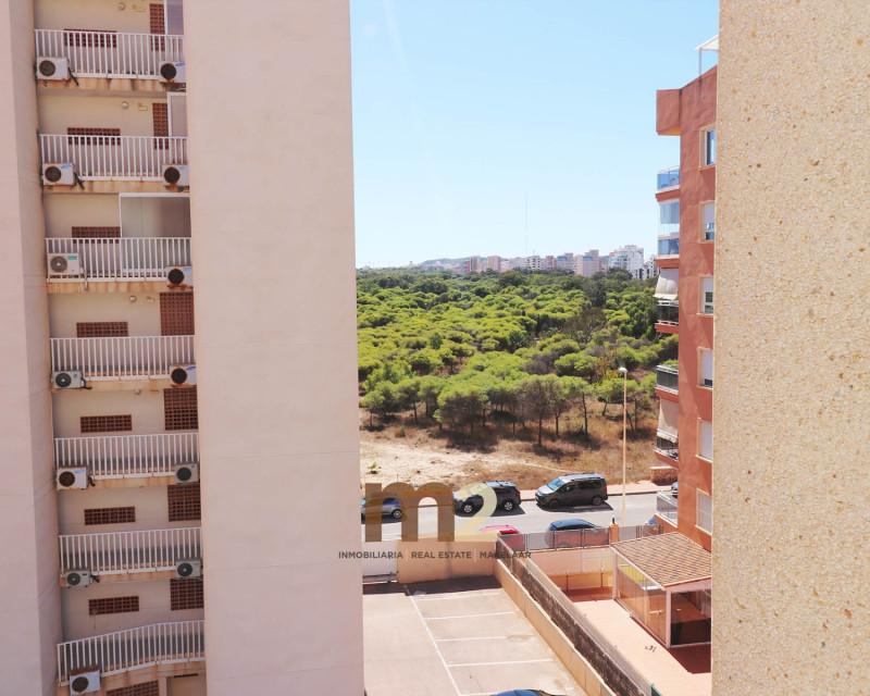 Segunda mano - Apartamento / piso - Guardamar del Segura - Puerto