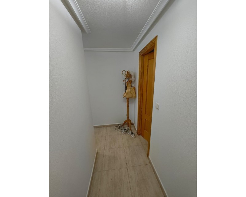 Segunda mano - Apartamento / piso - Guardamar del Segura - Guardamar Playa